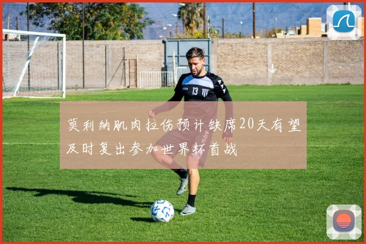 莫利纳肌肉拉伤预计缺席20天有望及时复出参加世界杯首战