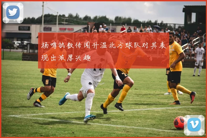 杨鸣执教传闻升温北方球队对其表现出浓厚兴趣