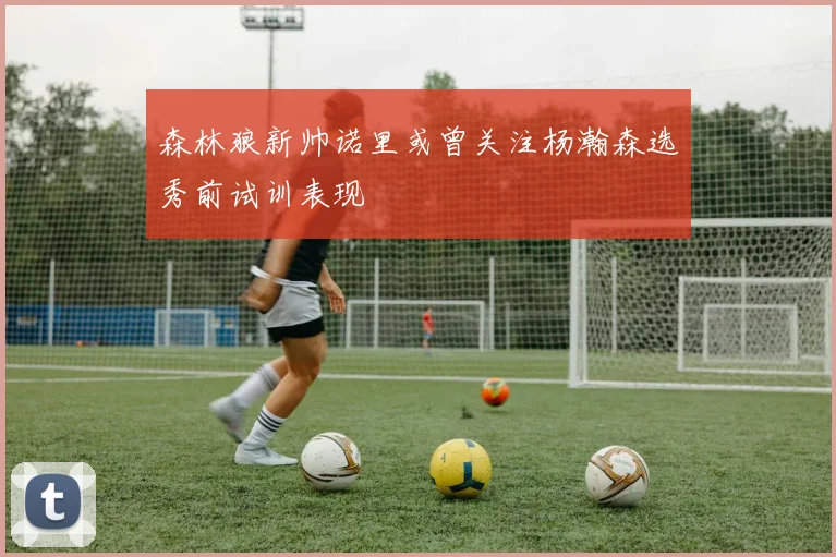 森林狼新帅诺里或曾关注杨瀚森选秀前试训表现